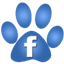 View our Facebook Page