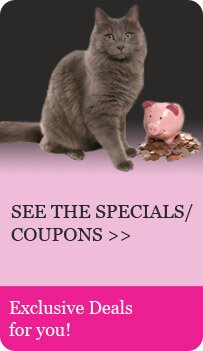See the Coupons/Specials - Exclusive Deals for you!