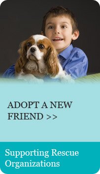 Adopt a New Friend - Supporting Rescue Organizations
