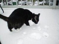 SNOW!!!